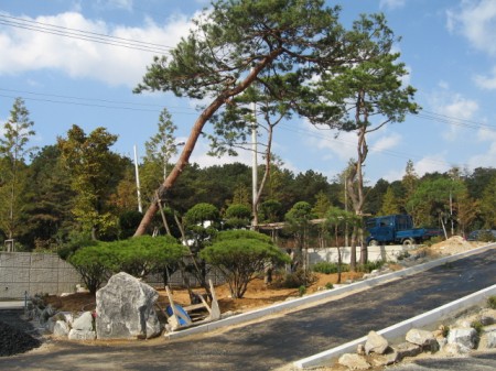 공장조경